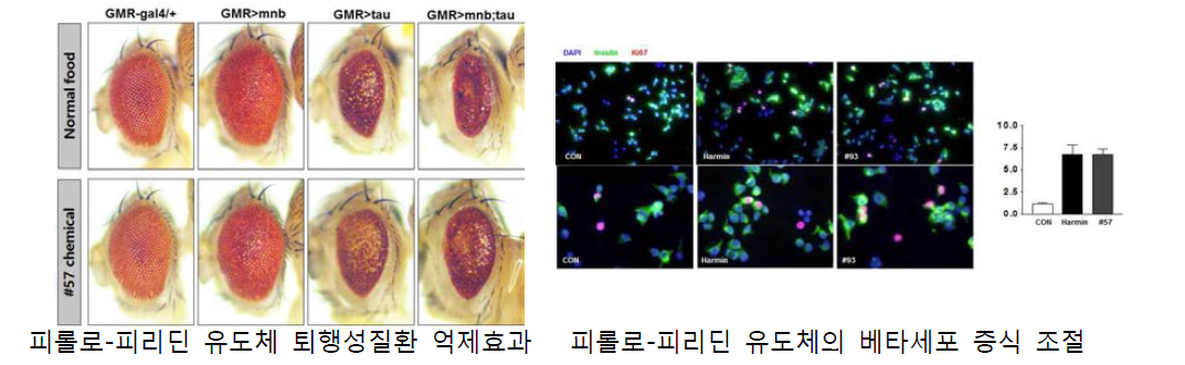 DYRK1A의 신규 억제효과 후보물질 탐색 전략-3