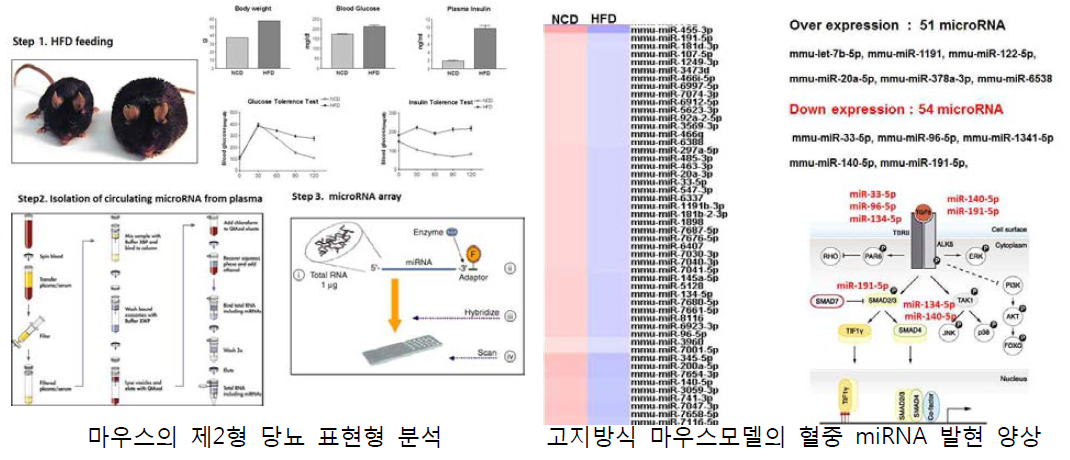 마우스 제2형 당뇨모델의 miRNA 발현양상 연구