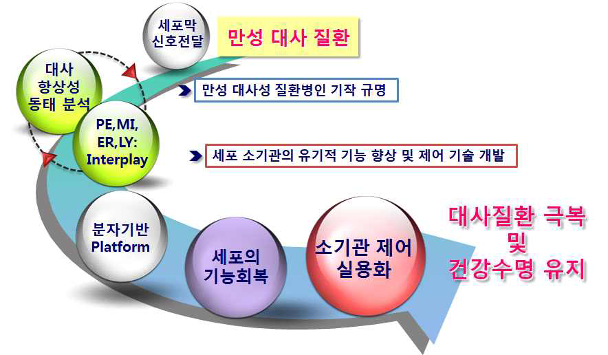 소기관 기능 복원을 통한 대사질환 극복 다양한 외적 자극에 의한 대사조절 (신호전달 기작) 이상에 따른 소기관의 기능적 구조적 변화를 만성 질환의 관점에서 검정하고 항상성 복원을 위하여, 1) 소기관간의 상호 신호 전달 연구, 2) 세포내 organelle 재활성을 통한 세포 대사기능 항진, 3) 세포소기관 (peroxisome, mitochondria, ER, lysosome)의 대사능 및 기능 조절 단백질 동정, 4) 유전자 조절기작을 기반으로 하는 생애전주기 건강수명회복을 목표로 한다