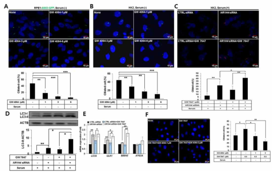 Ciliogenesis is reciprocally controlled by PPARA and FXR/NR1H4