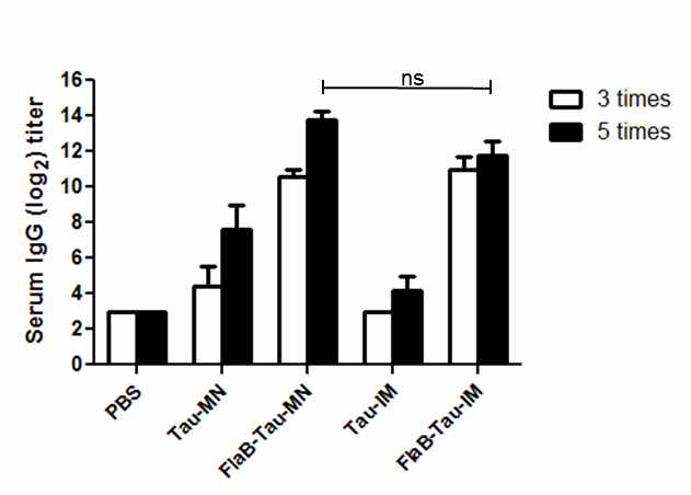 tau 단백질 항체 역가 (3주차, 5주차)