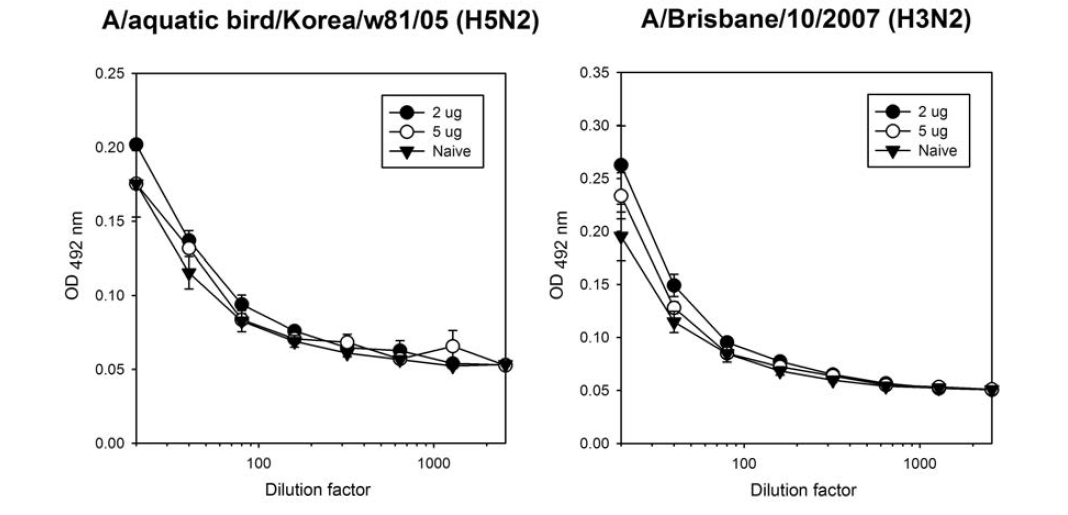 stalk domain protein이 코팅된 마이크로니들형 피내 전달 기구로 백신 접종 받은 마우스 혈청의 H5N2와 H3N2 에 대한 IgG 반응