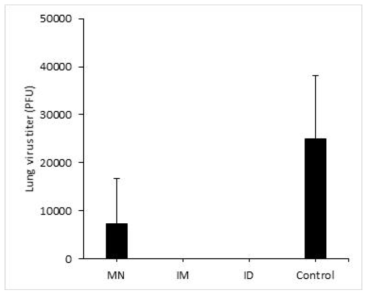 Lung virus titer in ferret