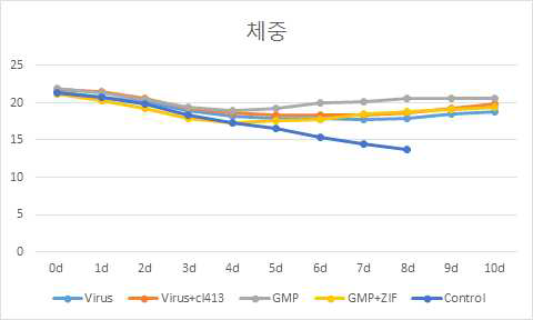 그룹별 마우스 체중변화