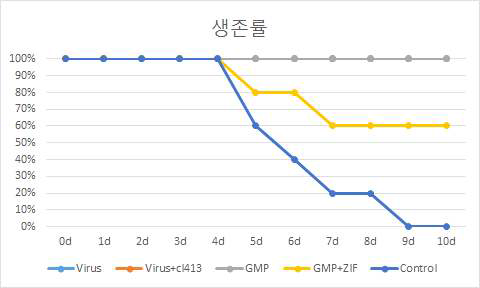 그룹별 마우스 생존률