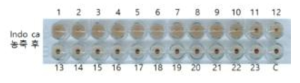 Virus HA titer after concentration by ultracentrifugation