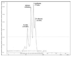 size exclusion chromatography calibration