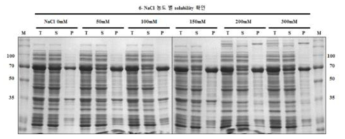 Comparision of the solubility of construct 6 in various NaCl concentrations