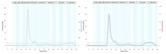 Size exclusion chromatography of universial HA-A-2-Bacterioferritin and universial HA-B-Bacterioferritin