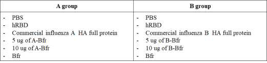 Group of mouse immunization