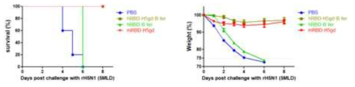 survival rate and weight change of mice infected rH5N1 virus