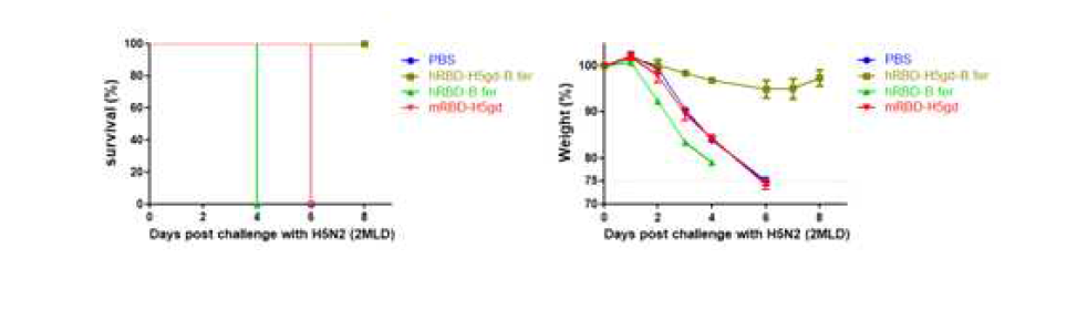 survival rate and weight change of mice infected H5N2 virus