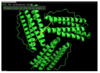 PyMOL 프로그램을 통해 분석한 가상의 Ferritin trimer