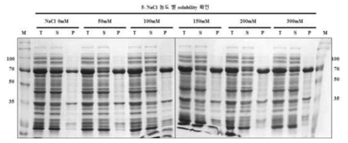 Comparision of the solubility of construct 5 in various NaCl concentrations