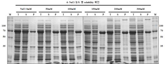 Comparision of the solubility of construct 6 in various NaCl concentrations