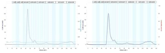 Size exclusion chromatography of universial HA-A-2-Bacterioferritin and universial HA-B-Bacterioferritin