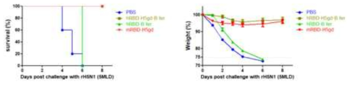 survival rate and weight change of mice infected rH5N1 virus