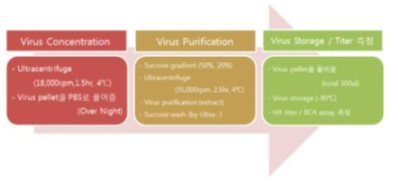 Experimental process of influenza A type inactivated vaccine production