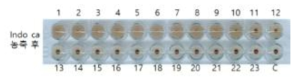 Virus HA titer after concentration by ultracentrifugation