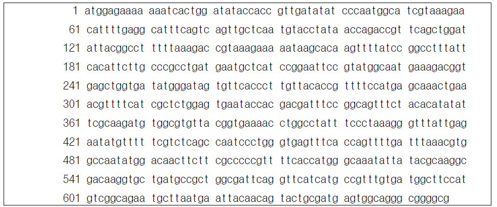 CAT 유전자 서열