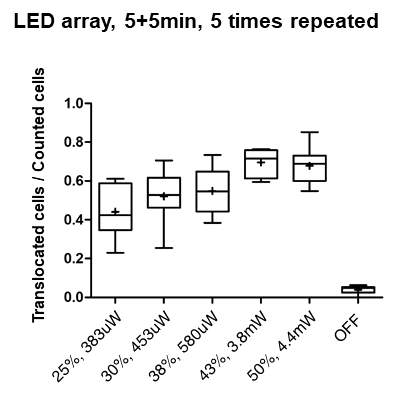 LED array의 광도에 따른 NFATc1 전사인자의 이동 활성