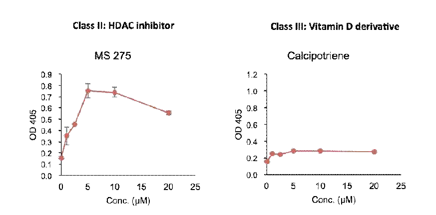 HDAC 억제제와 비타민 D 유도체에 대한 효능 확인