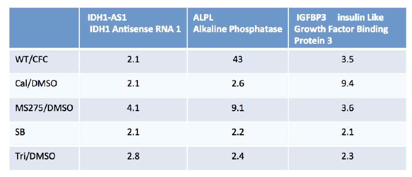 RNA sequencing 분석 2