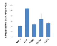발굴된 5가지 인산화 효소 knockdown 독성 비교