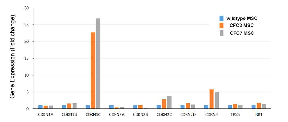 CFC MSC에서의 Cyclin-dependent kinase inhibitor 유전자군 발현양상