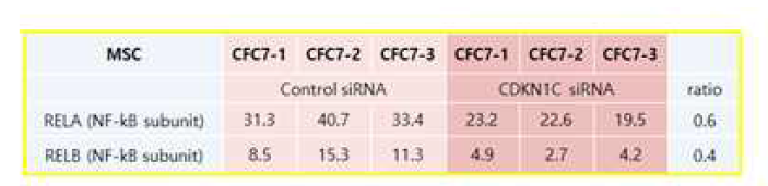 CDKN1C knockdown이 NF-kB 발현에 미치는 영향