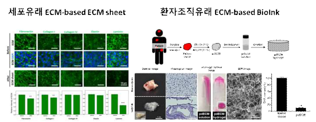세포유래 ECM을 이용한 생체재료 개발 (왼쪽, ACS BSE 2017,Biomaterials Research 2018), 환자유래 조직을 이용한 ECM 추출기술 (오른쪽, Science Reports 2018: 특허 출원, 기술이전)