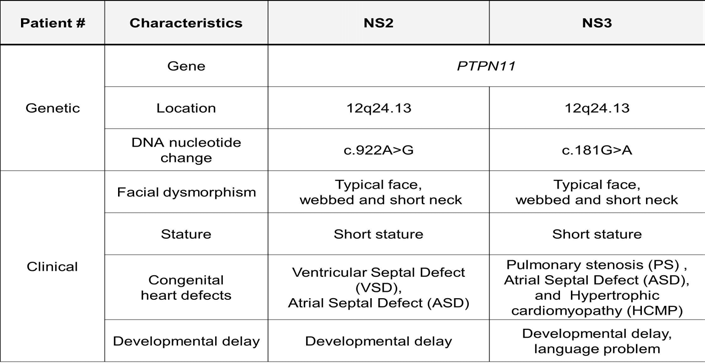 새로 도입한 누난 증후군 환자(NS2, NS3)의 유전적 정보 및 증상