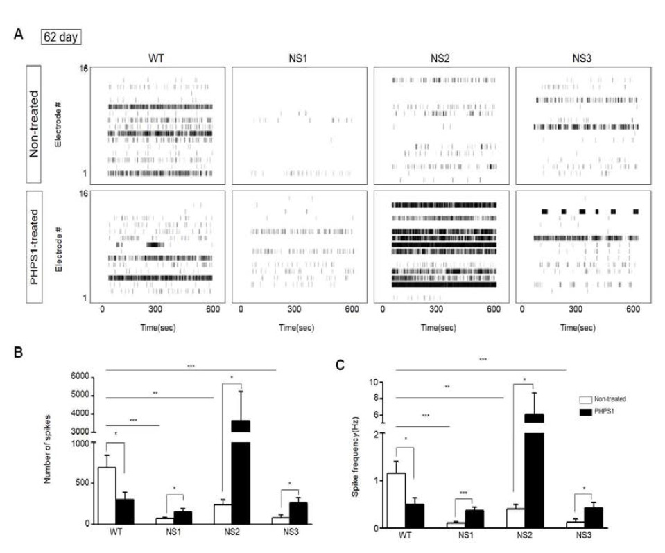 SHP2 억제제 처리를 통해 누난 증후군 환자 유래 대뇌 오가노이드에서 세포 외 활성 신호의 부분적인 개선 효과 (62일)