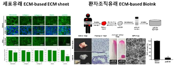 세포유래 ECM을 이용한 생체재료 개발 (왼쪽, ACS BSE 2017,Biomaterials Research 2018), 환자유래 조직을 이용한 ECM 추출기술 (오른쪽, Science Reports 2018: 특허 출원, 기술이전)