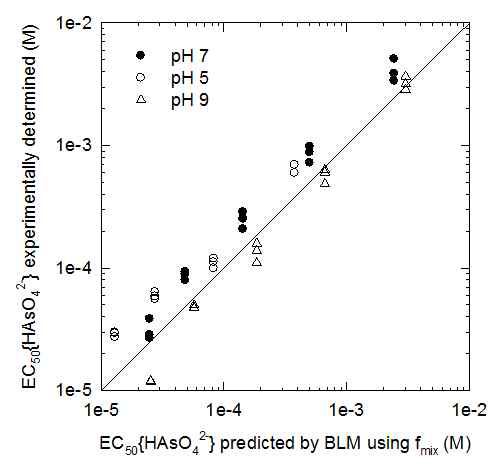 실험으로 결정된 EC50{HAsO4 2-} 값과 개발된 모형으로 예측한 EC50 값 비교