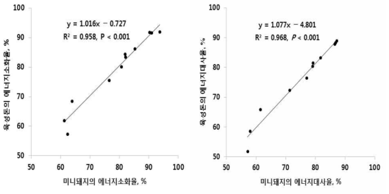 미니돼지 및 육성돈의 에너지소화율 및 에너지대사율 관계