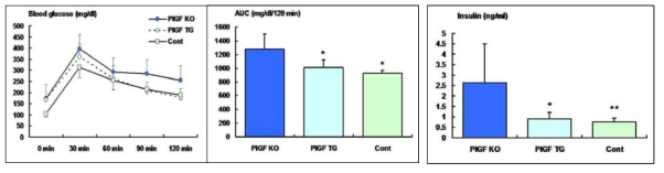 태생 32주에 시행한 IPGTT 결과 혈중 당농도의 area under curve(AUC)는 PlGF-결손 마우스에서 현저한 증가 소견을 보이나, T세포 PlGF-과발현 마우스에서 이 같은 변화는 없음. 공복 시 시행한 혈중 인슐린 농도도 PlGF-결손 마우스에서 증가 소견을 보이나, 이러한 증가도 T세포 PlGF-과발현 마우스와 정상 대조군에서 없어짐