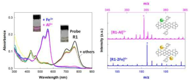 (a) 다양한 금속이온 존재 시 형광체 R1의 흡수 특성, (b) ESI-MS 측정결과