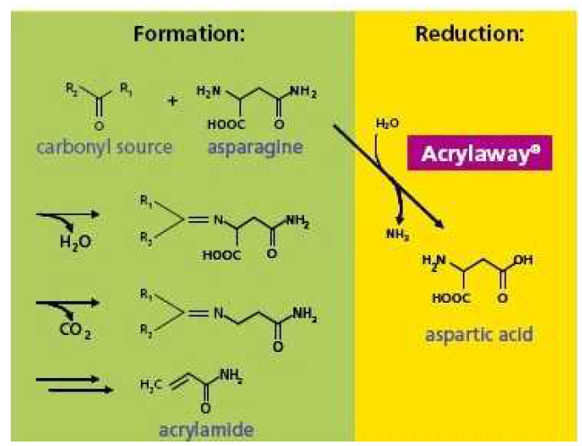 식품 내 asparaginase 작용을 통한 아크릴아마이드 저감화(덴마크 OOO사 홈페이지)