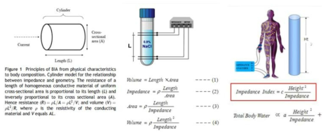 생체전기임피던스의 원리