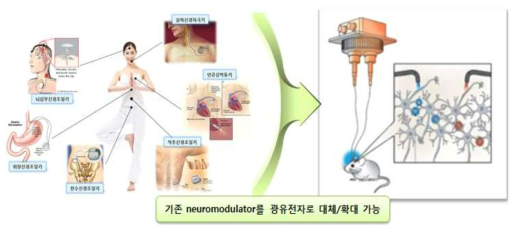 광유전자 기반 치료 대상의 다양화 및 관련 산업의 영향 확대