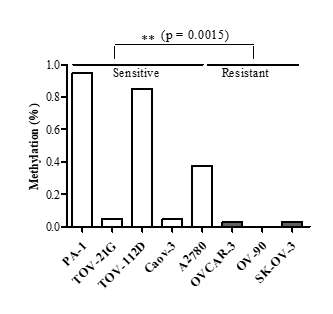Cisplatin 민감성/내성 난소암 세포주에서 PARP4 유전자의 DNA methylation 정도