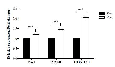 5-aza-2‘-deoxycytidin을 3일간 처리 한 후 PARP4 유전자 발현 변화