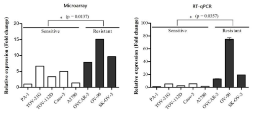 Cisplatin 민감성/내성 난소암 세포주에서 MBNL2의 유전자 발현양상