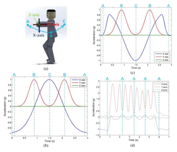 손목의 움직임에 의한 Motion artifacts 가 Accelerometer 의 경우 Inert Graviatioinal Force 에 영향을 받으며, Gyroscpe 의 경우 이를 보완할 수 있는 신호로 제안되었음