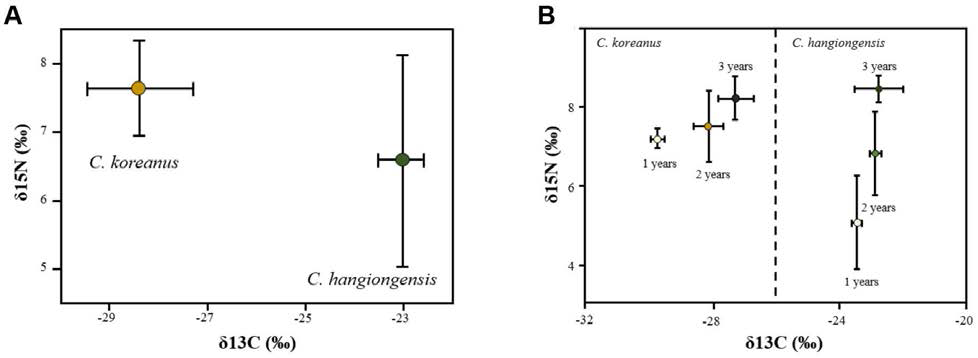 안정성동위원소 분석(δ13C/δ15N ratio) 결과. (A) 둑중개(C. koreanus)와 한둑중개(C. hangiongensis)의 먹이원 및 영양지위 차이. (B) 종 내 연령(1년생, 2년생, 3년생)에 따른 먹이원 및 영양지위 차이. 각 종 개체의 연령은 표준 체장(standard length)을 기준으로 추정함