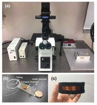 OM제어방법의 기술적 타당성 검증을 위한 실험장치. (a) 실험장치 구성도, (b) 마이크로 플루이딕칩, (c) 솔레노이드 코일 자석