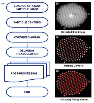 입자군집의 위상학적 분석을 위한 보로노이-델라니(Voronoi-Delaunay diagram) in-house코드. (a) In-house코드의 이미지 프로세싱 순서도, (b)~(d) In-house코드에 의해 처리된 입자 이미지들