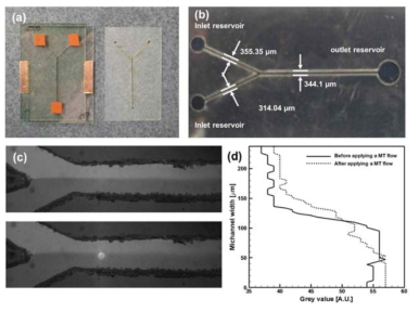 (a) 광-자기역학적 기술에 의한 유체혼합을 테스트하기 위해 제작된 칩, (b) Y자 마이크로 채널의 기하학적 치수, (c) 형광용액 및 비형광용액을 이용한 혼합실험, (d) 혼합에 의한 형광세기의 변화