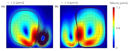 열원의 위치에 따른 자기열적유동의 변화, (a) 열원을 채널 우측에 위치시켰을 때, (b) 열원을 채널 좌측에 위치시켰을 때